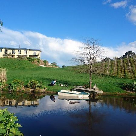 Castello Di Vino Daire Blenheim Dış mekan fotoğraf