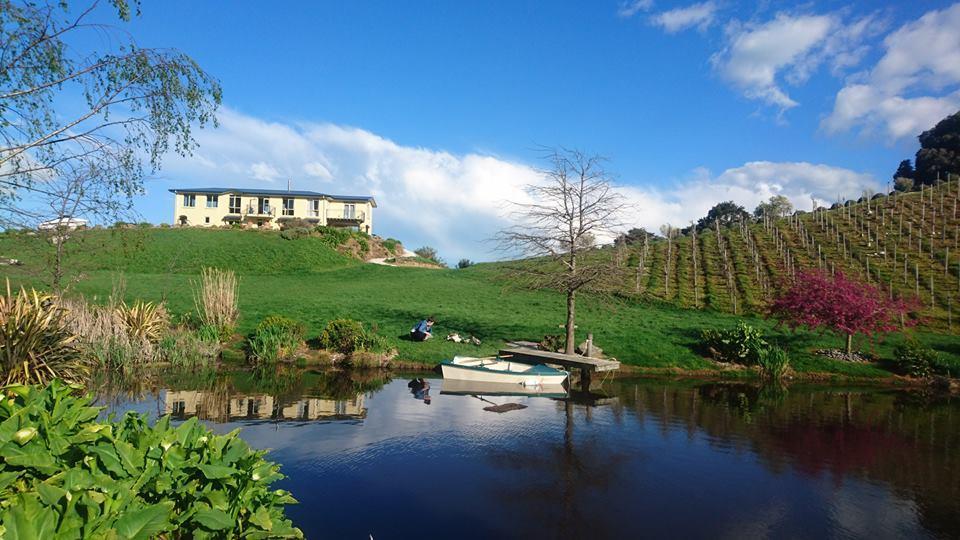 Castello Di Vino Daire Blenheim Dış mekan fotoğraf