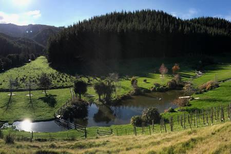 Castello Di Vino Daire Blenheim Dış mekan fotoğraf